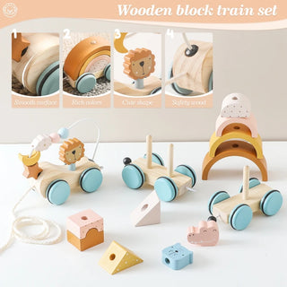 Wooden Montessori Dinosaur Wheel Toy - RYAN AND REMI