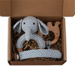 Pacifier Clip Teether Toy Set - RYAN AND REMI